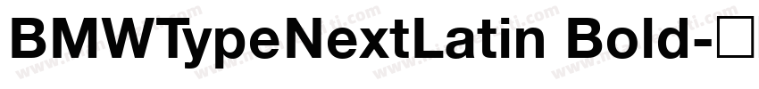 BMWTypeNextLatin Bold字体转换